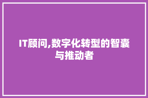IT顾问,数字化转型的智囊与推动者