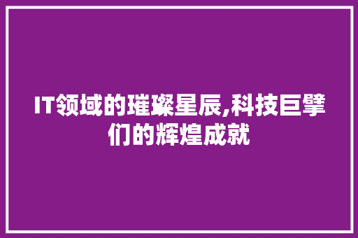 IT领域的璀璨星辰,科技巨擘们的辉煌成就