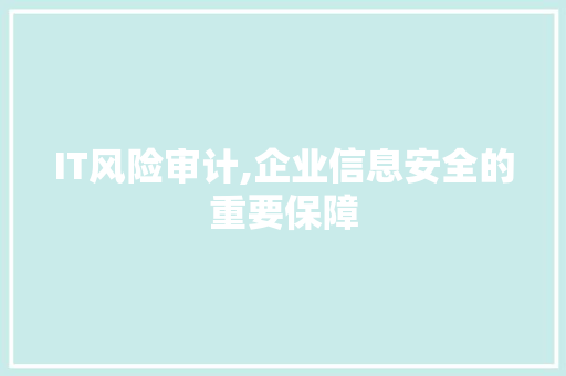 IT风险审计,企业信息安全的重要保障