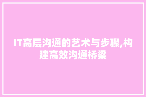 IT高层沟通的艺术与步骤,构建高效沟通桥梁