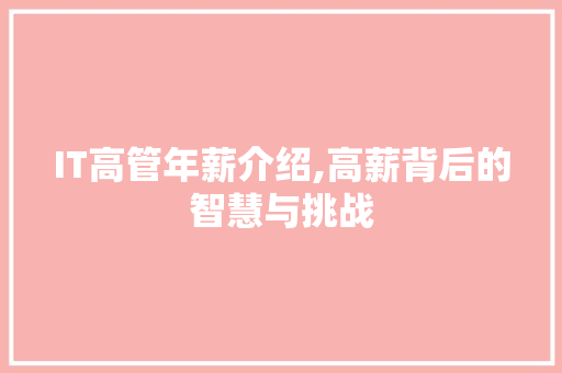 IT高管年薪介绍,高薪背后的智慧与挑战 百度SEO
