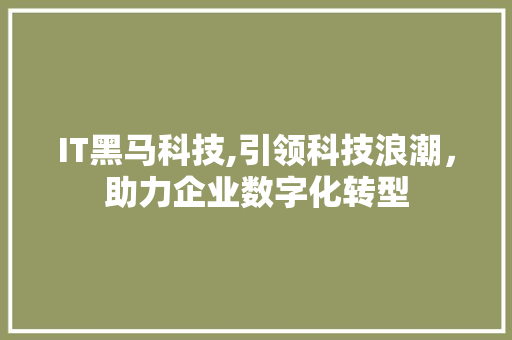 IT黑马科技,引领科技浪潮，助力企业数字化转型
