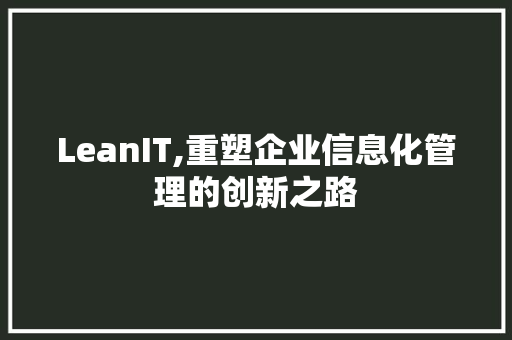 LeanIT,重塑企业信息化管理的创新之路