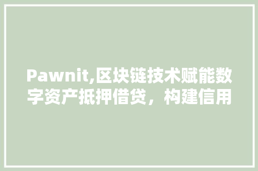 Pawnit,区块链技术赋能数字资产抵押借贷，构建信用经济新范式