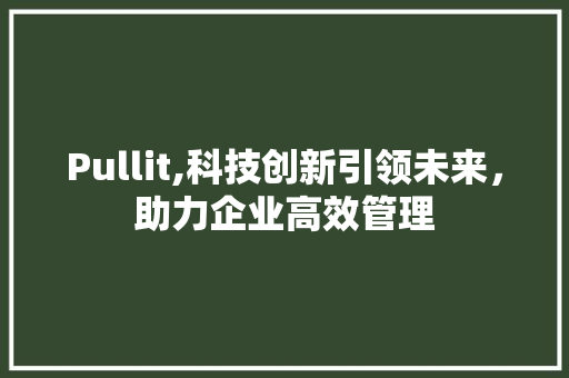 Pullit,科技创新引领未来，助力企业高效管理 百度SEO