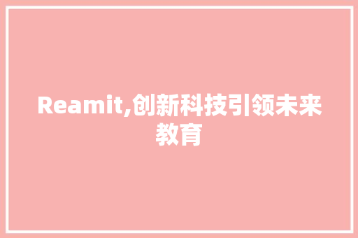 Reamit,创新科技引领未来教育