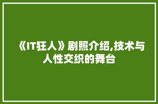 《IT狂人》剧照介绍,技术与人性交织的舞台