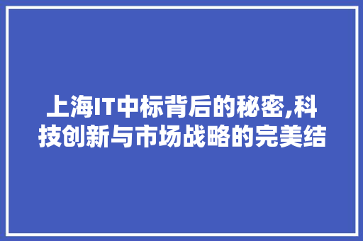 上海IT中标背后的秘密,科技创新与市场战略的完美结合