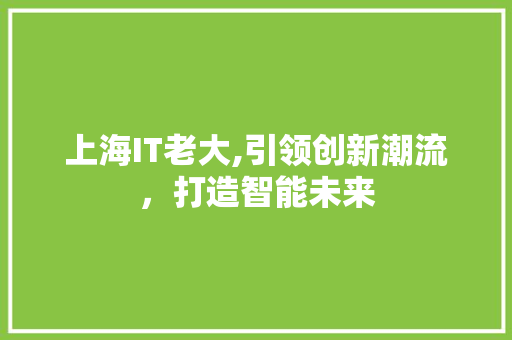 上海IT老大,引领创新潮流，打造智能未来