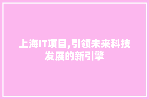 上海IT项目,引领未来科技发展的新引擎