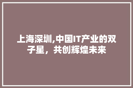 上海深圳,中国IT产业的双子星，共创辉煌未来
