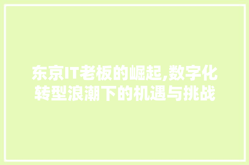 东京IT老板的崛起,数字化转型浪潮下的机遇与挑战