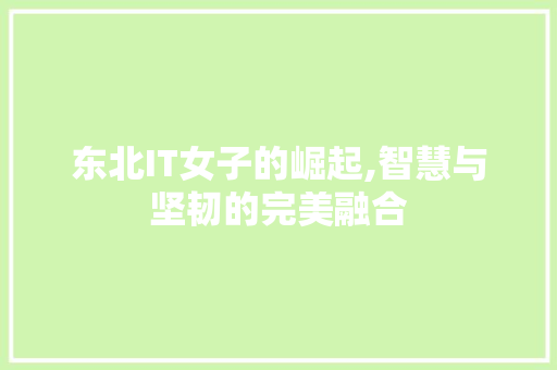 东北IT女子的崛起,智慧与坚韧的完美融合