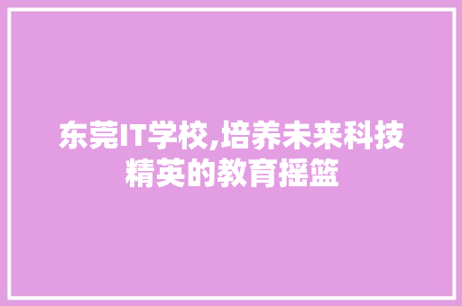 东莞IT学校,培养未来科技精英的教育摇篮 神马SEO