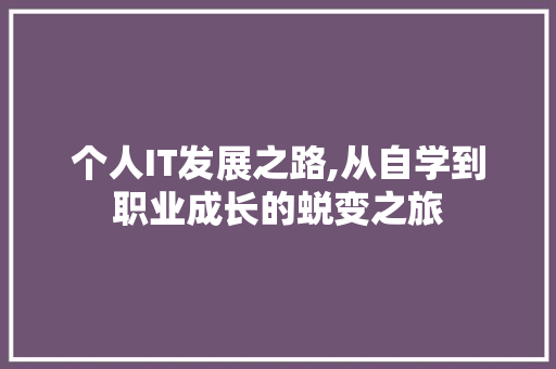 个人IT发展之路,从自学到职业成长的蜕变之旅