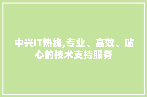 中兴IT热线,专业、高效、贴心的技术支持服务
