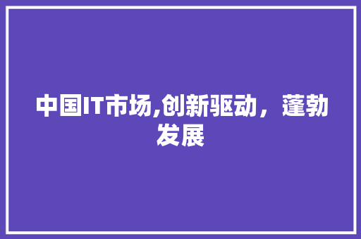 中国IT市场,创新驱动，蓬勃发展