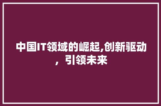 中国IT领域的崛起,创新驱动，引领未来