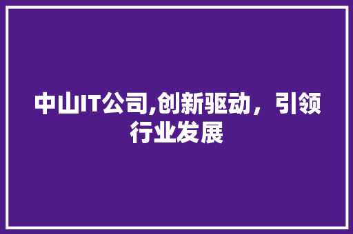 中山IT公司,创新驱动，引领行业发展