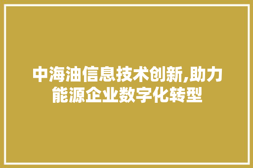 中海油信息技术创新,助力能源企业数字化转型 GoogleSEO
