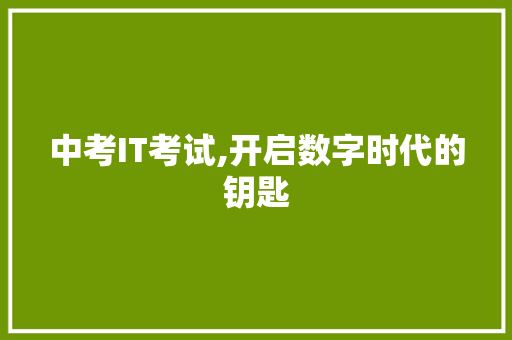 中考IT考试,开启数字时代的钥匙
