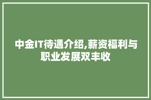 中金IT待遇介绍,薪资福利与职业发展双丰收