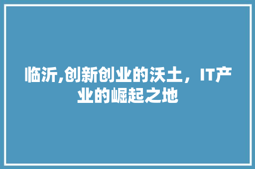 临沂,创新创业的沃土，IT产业的崛起之地