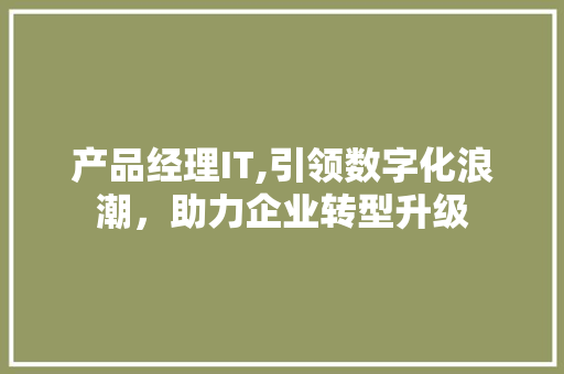 产品经理IT,引领数字化浪潮，助力企业转型升级