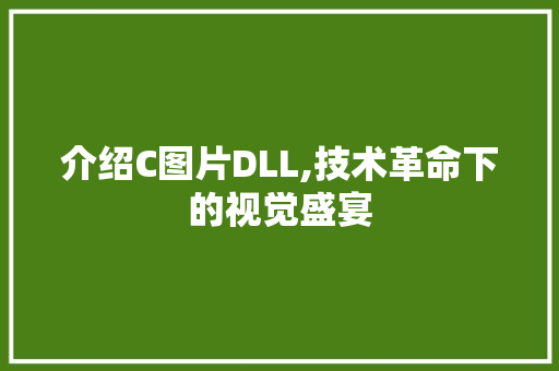 介绍C图片DLL,技术革命下的视觉盛宴 神马SEO