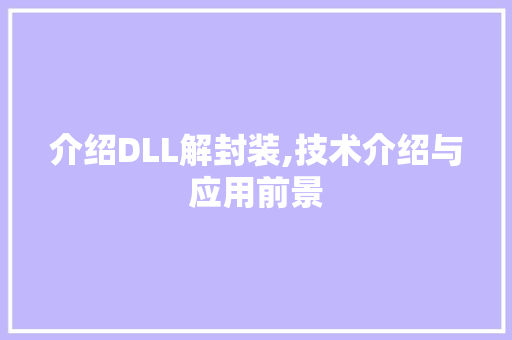 介绍DLL解封装,技术介绍与应用前景 必应SEO