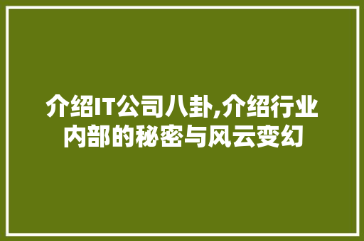 介绍IT公司八卦,介绍行业内部的秘密与风云变幻