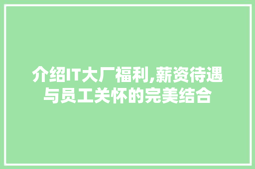 介绍IT大厂福利,薪资待遇与员工关怀的完美结合