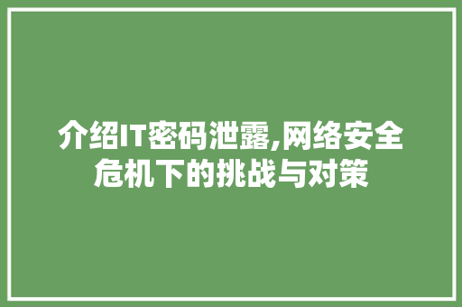 介绍IT密码泄露,网络安全危机下的挑战与对策