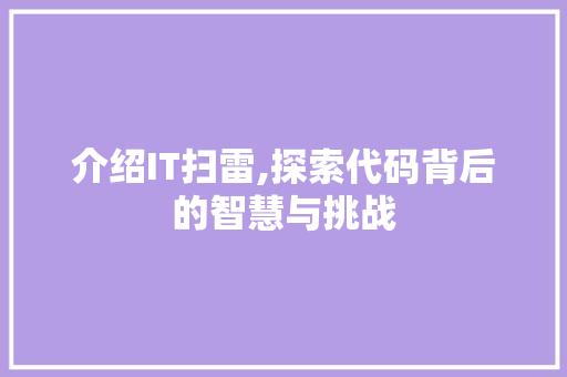 介绍IT扫雷,探索代码背后的智慧与挑战 搜狗SEO