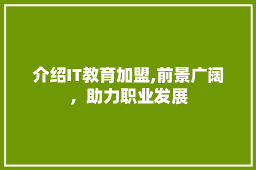 介绍IT教育加盟,前景广阔，助力职业发展