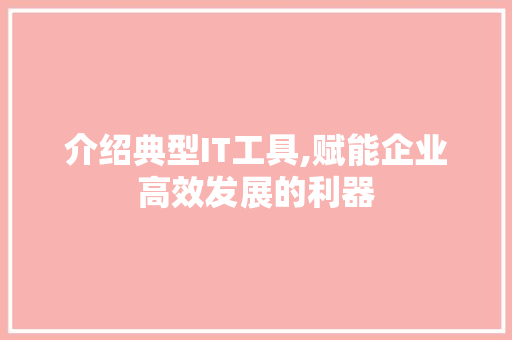 介绍典型IT工具,赋能企业高效发展的利器