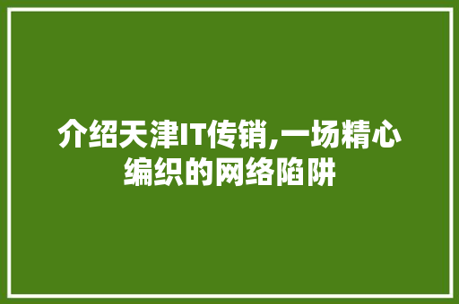 介绍天津IT传销,一场精心编织的网络陷阱