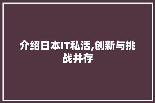 介绍日本IT私活,创新与挑战并存 百度SEO