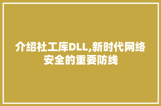 介绍社工库DLL,新时代网络安全的重要防线