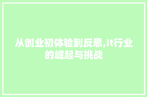 从创业初体验到反思,It行业的崛起与挑战
