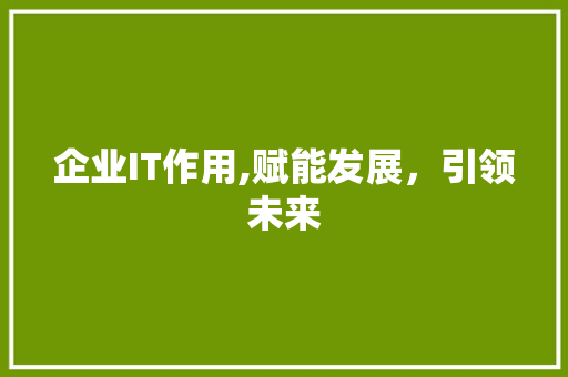 企业IT作用,赋能发展，引领未来