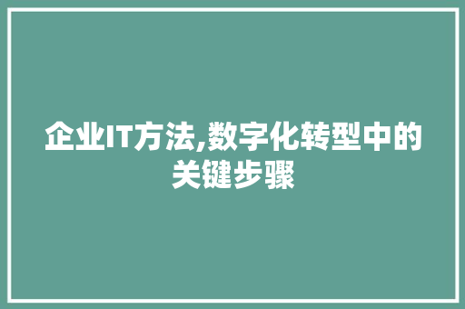 企业IT方法,数字化转型中的关键步骤 GoogleSEO