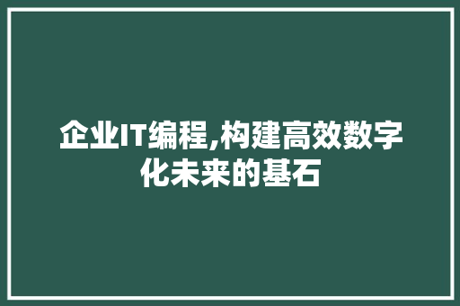 企业IT编程,构建高效数字化未来的基石