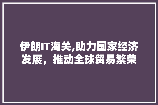 伊朗IT海关,助力国家经济发展，推动全球贸易繁荣