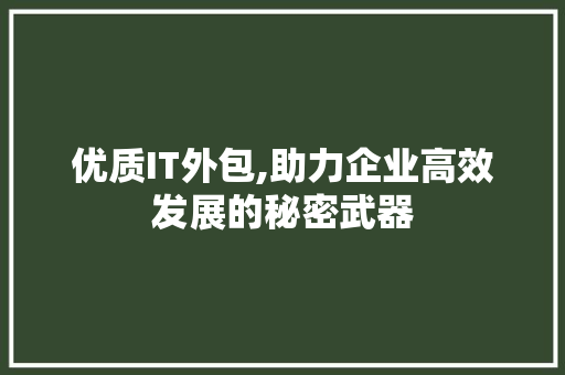 优质IT外包,助力企业高效发展的秘密武器