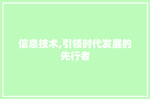 信息技术,引领时代发展的先行者