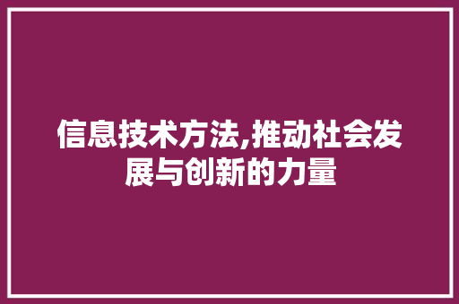 信息技术方法,推动社会发展与创新的力量