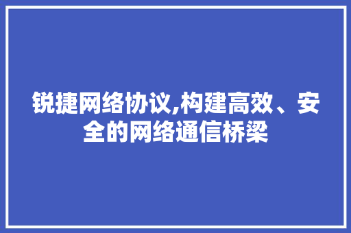 锐捷网络协议,构建高效、安全的网络通信桥梁 GoogleSEO