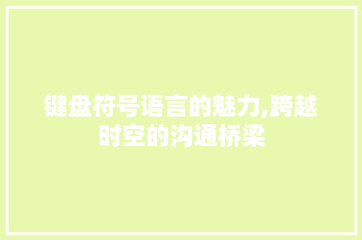键盘符号语言的魅力,跨越时空的沟通桥梁 百度SEO