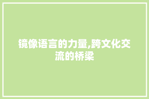 镜像语言的力量,跨文化交流的桥梁 必应SEO